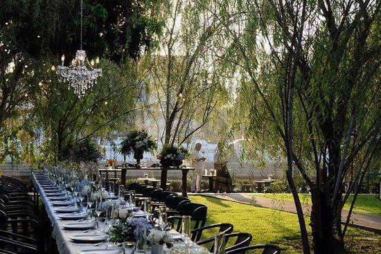 Cafe des Artists Ping Silhouette